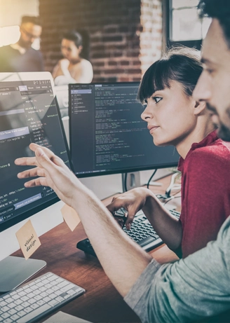 Web development